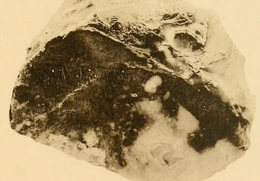 An illustration from The antiquities of Manabi, Ecuador; final report, 1910, leaf 441