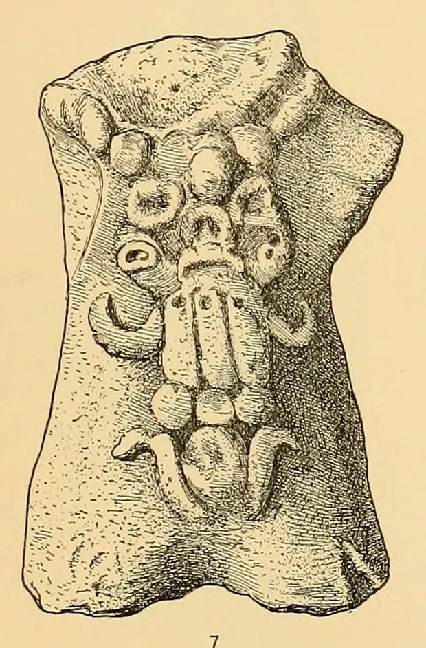 An illustration from The antiquities of Manabi, Ecuador; final report, 1910, leaf 503