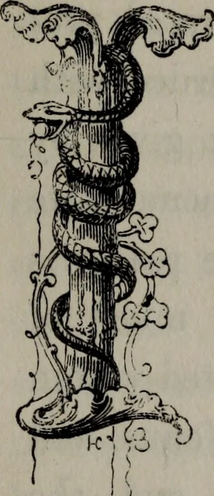 An illustration from The antiquities of Athens and other monuments of Greece, 1858, leaf 24