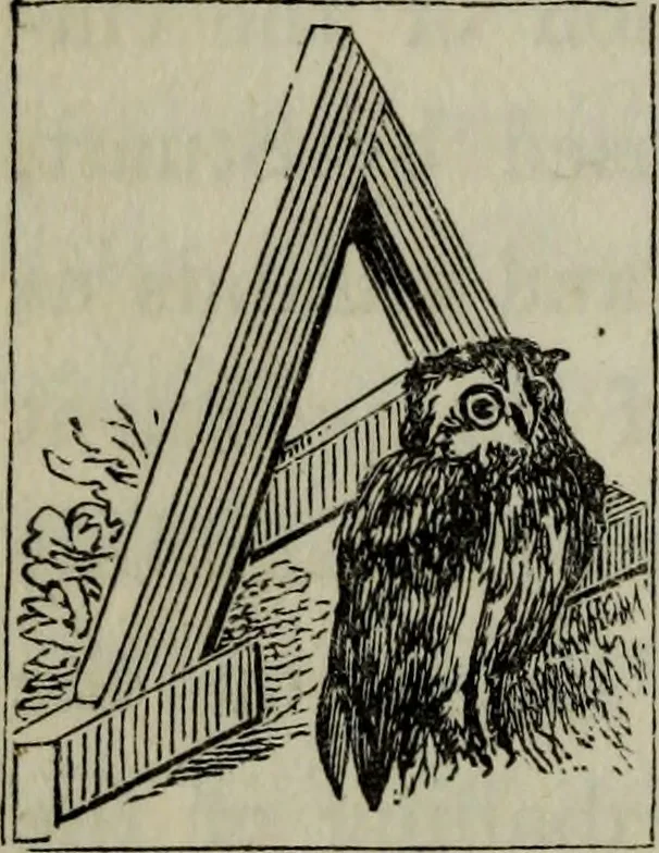 An illustration from The antiquities of Athens and other monuments of Greece, 1858, leaf 49