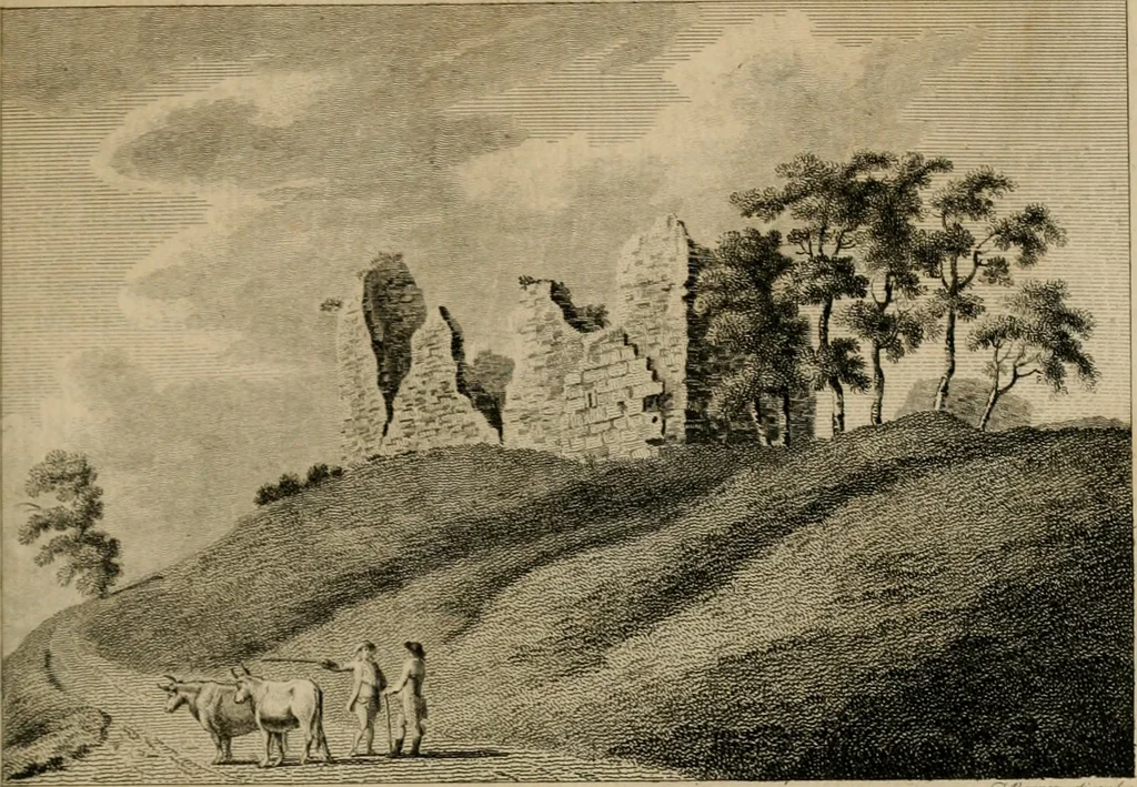 An illustration from Supplement to the antiquities of England and Wales, 1777, leaf 288
