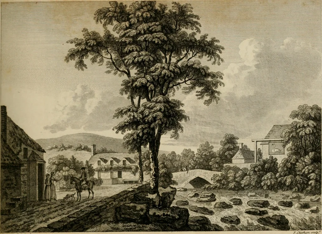 An illustration from Supplement to the antiquities of England and Wales, 1777, leaf 90