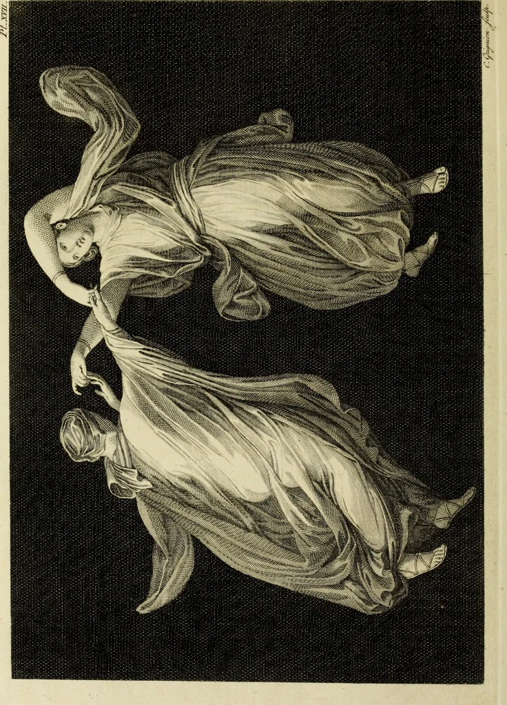 An illustration from The antiquities of Herculaneum, 1773, leaf 205