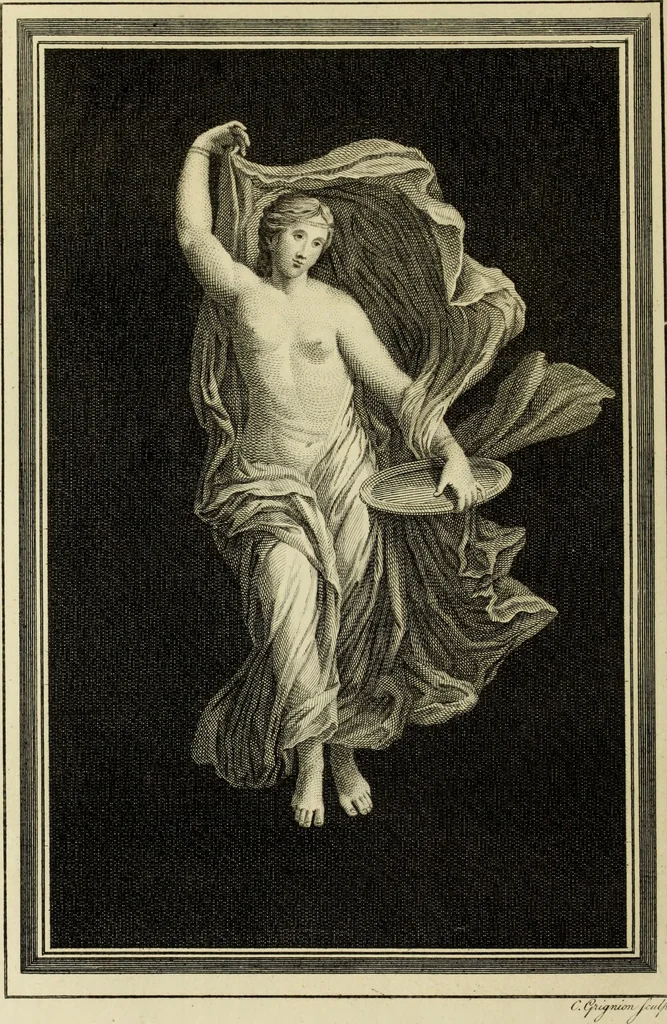 An illustration from The antiquities of Herculaneum, 1773, leaf 215