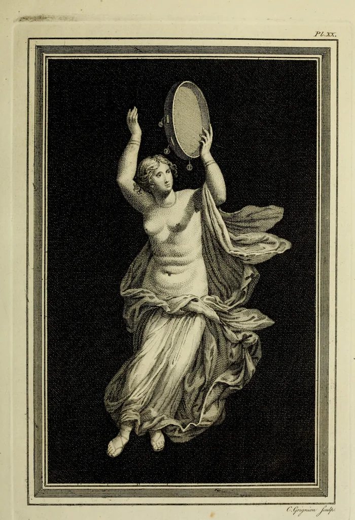 An illustration from The antiquities of Herculaneum, 1773, leaf 220