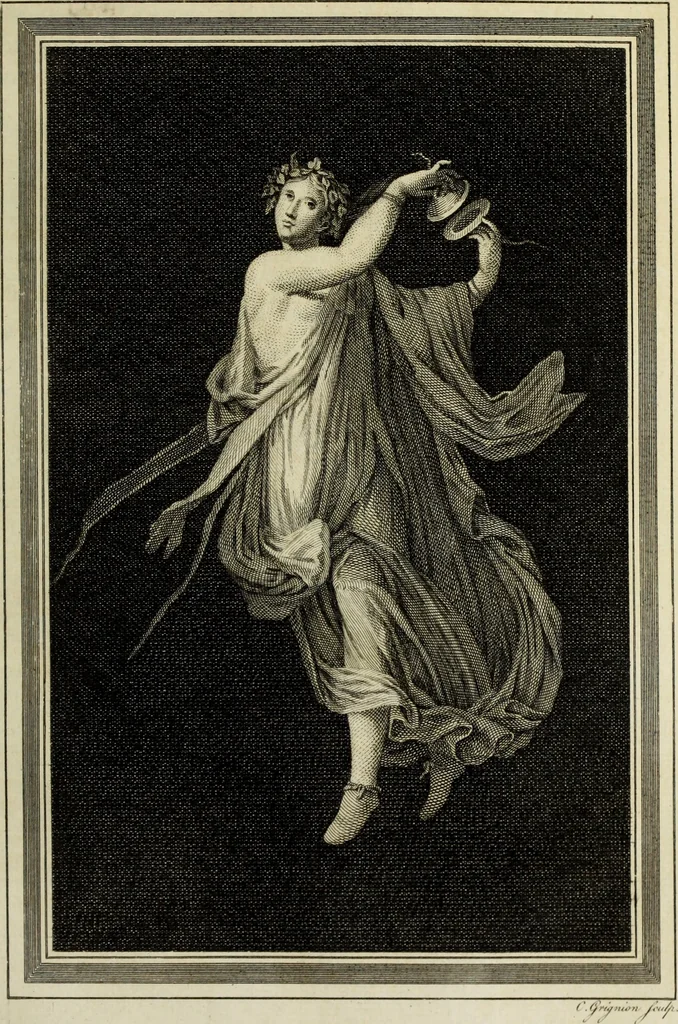An illustration from The antiquities of Herculaneum, 1773, leaf 226