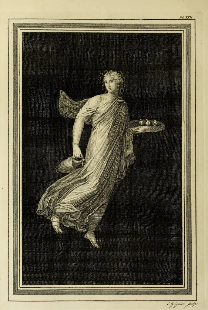 An illustration from The antiquities of Herculaneum, 1773, leaf 233