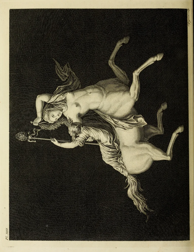 An illustration from The antiquities of Herculaneum, 1773, leaf 255