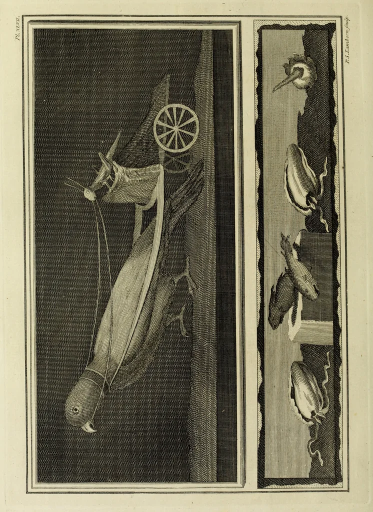 An illustration from The antiquities of Herculaneum, 1773, leaf 383