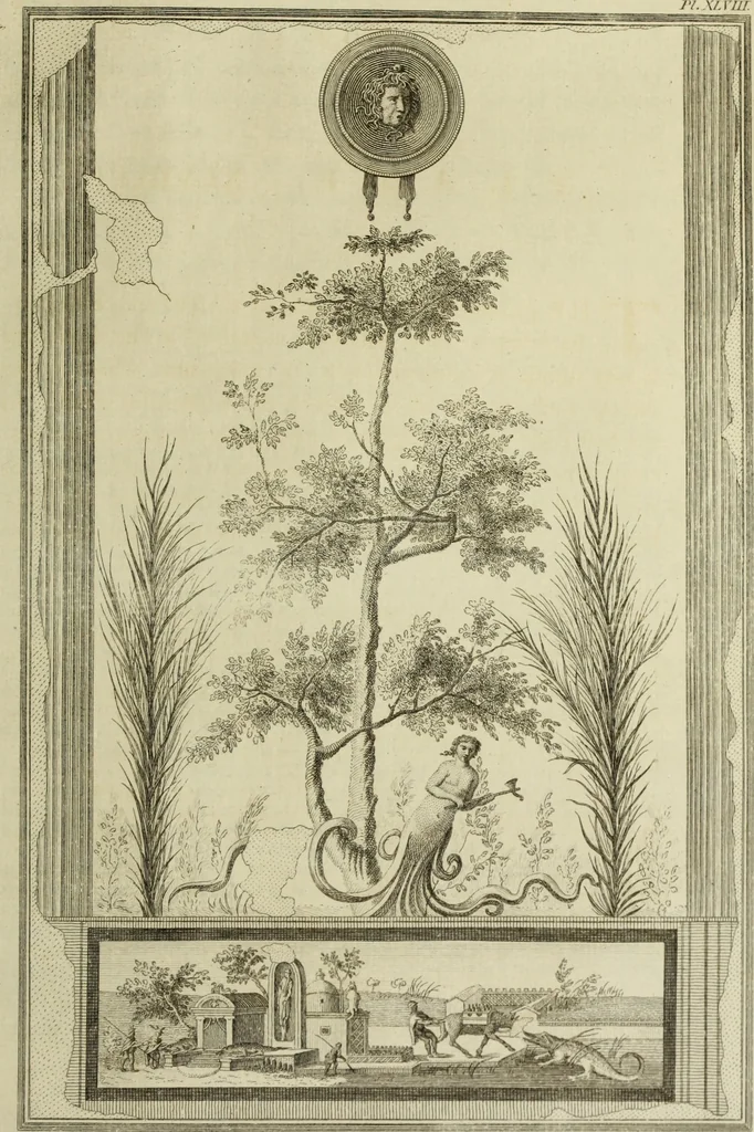 An illustration from The antiquities of Herculaneum, 1773, leaf 388