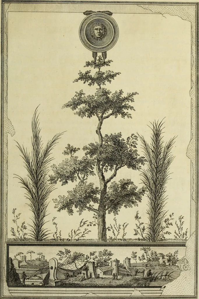 An illustration from The antiquities of Herculaneum, 1773, leaf 394