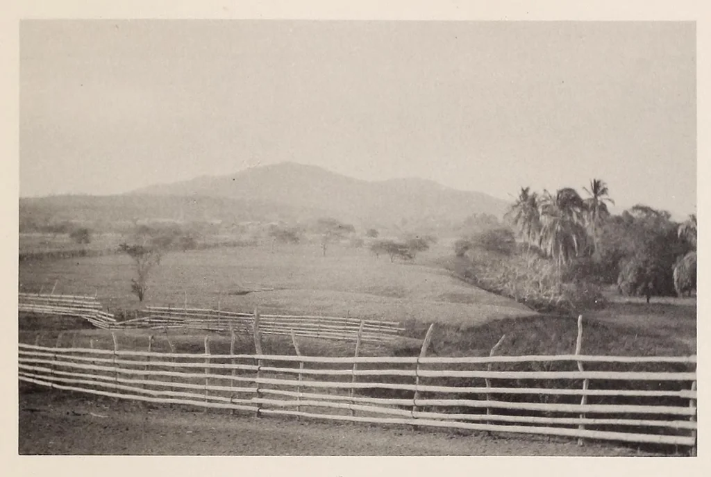 An illustration from The antiquities of Manabi, Ecuador; a preliminary report, 1907, leaf 169
