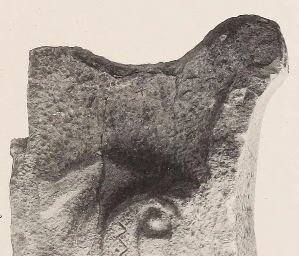 An illustration from The antiquities of Manabi, Ecuador; a preliminary report, 1907, leaf 225