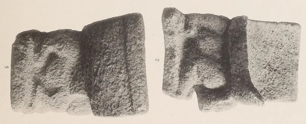An illustration from The antiquities of Manabi, Ecuador; a preliminary report, 1907, leaf 245