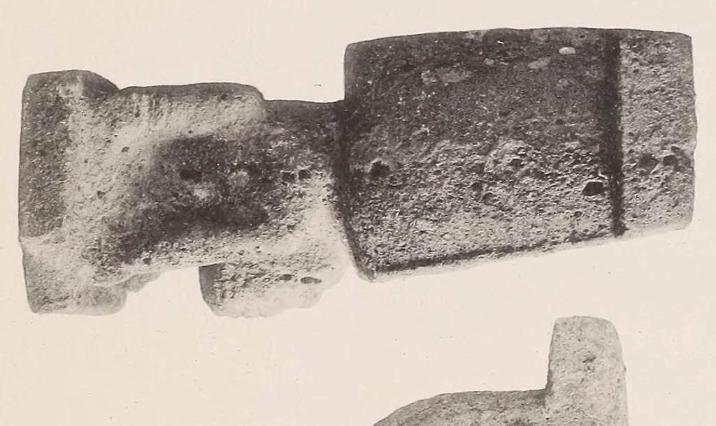 An illustration from The antiquities of Manabi, Ecuador; a preliminary report, 1907, leaf 257