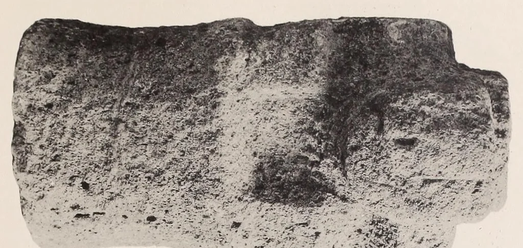 An illustration from The antiquities of Manabi, Ecuador; a preliminary report, 1907, leaf 289