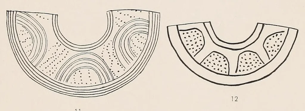 An illustration from The antiquities of Manabi, Ecuador; a preliminary report, 1907, leaf 341