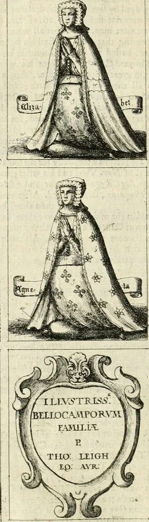 An illustration from The antiquities of Warwickshire illustrated : from records, leiger-books, manuscripts, charters, evidences, tombes, and armes : beautified with maps, prospects, and portraictures, 1656, leaf 309