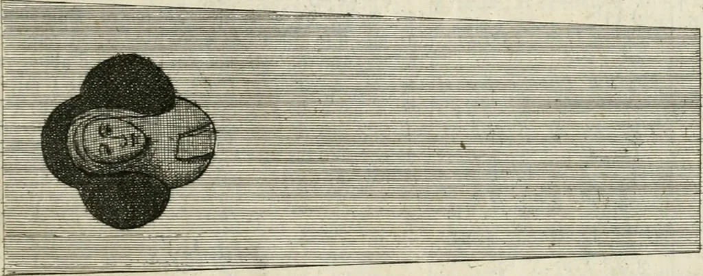 An illustration from The antiquities of Warwickshire illustrated : from records, leiger-books, manuscripts, charters, evidences, tombes, and armes : beautified with maps, prospects, and portraictures, 1656, leaf 764