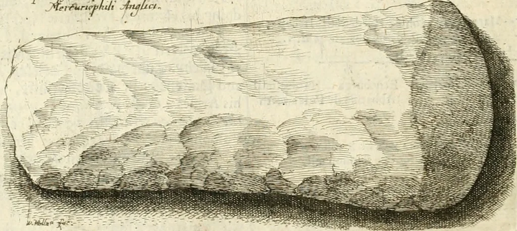 An illustration from The antiquities of Warwickshire illustrated : from records, leiger-books, manuscripts, charters, evidences, tombes, and armes : beautified with maps, prospects, and portraictures, 1656, leaf 779