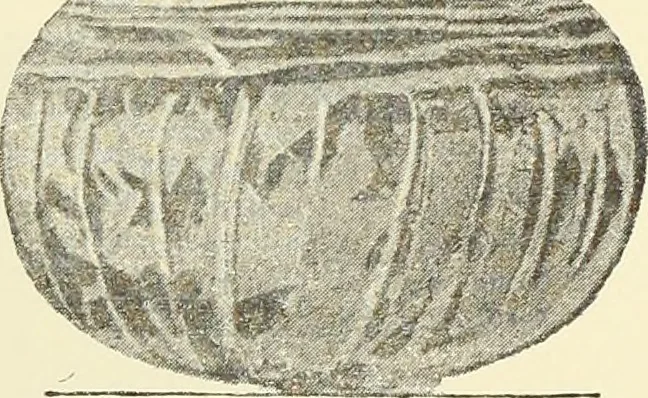 An illustration from Antiquités de la Russie méridionale, 1891, leaf 106