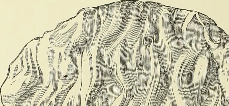 An illustration from Antiquités de la Russie méridionale, 1891, leaf 107