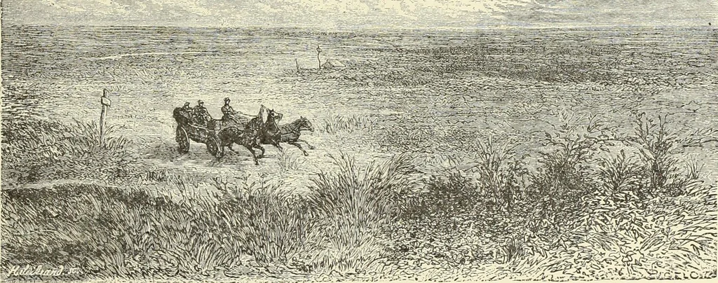 An illustration from Antiquités de la Russie méridionale, 1891, leaf 136