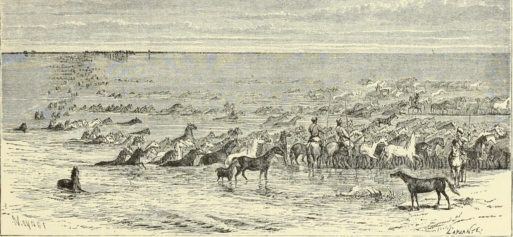 An illustration from Antiquités de la Russie méridionale, 1891, leaf 138