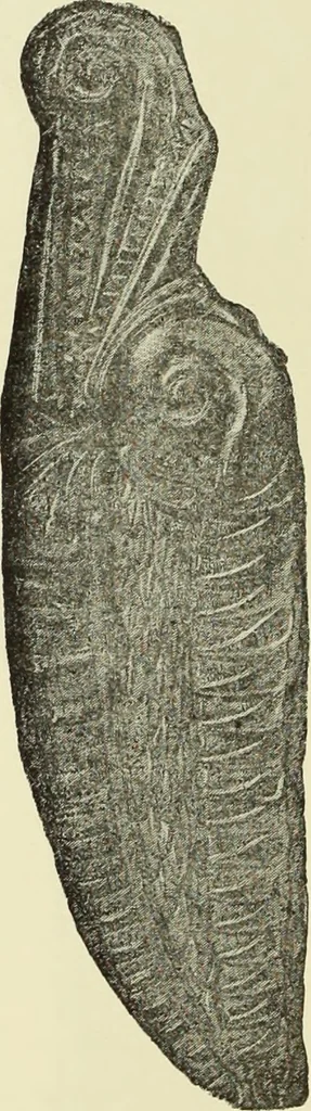 An illustration from Antiquités de la Russie méridionale, 1891, leaf 281