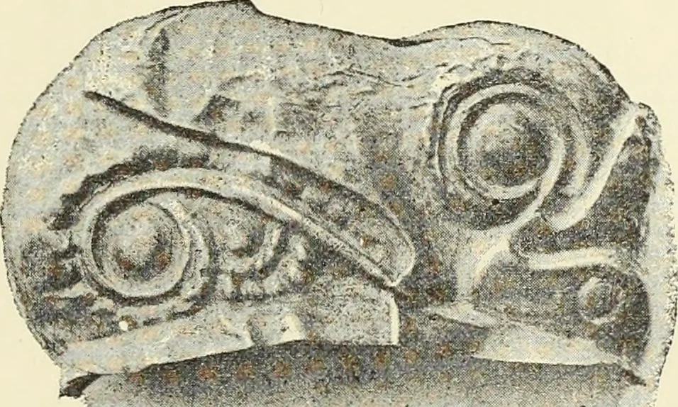 An illustration from Antiquités de la Russie méridionale, 1891, leaf 296
