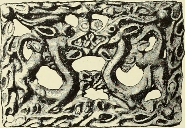 An illustration from Antiquités de la Russie méridionale, 1891, leaf 399