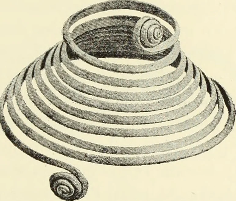 An illustration from Antiquités de la Russie méridionale, 1891, leaf 472