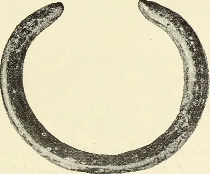An illustration from Antiquités de la Russie méridionale, 1891, leaf 472