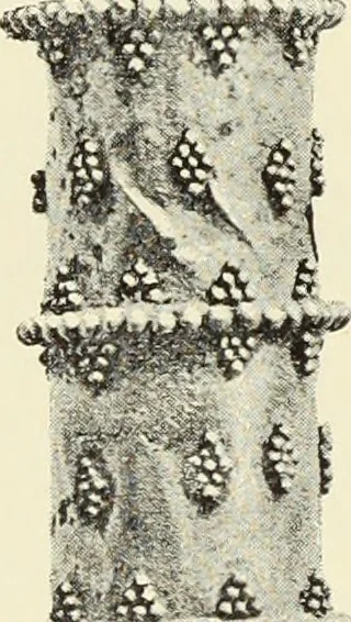An illustration from Antiquités de la Russie méridionale, 1891, leaf 480