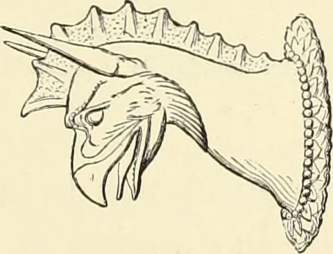 An illustration from Antiquités de la Russie méridionale, 1891, leaf 50