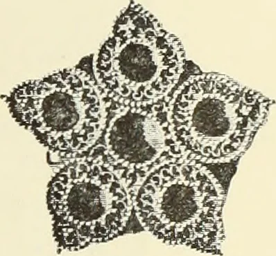 An illustration from Antiquités de la Russie méridionale, 1891, leaf 518