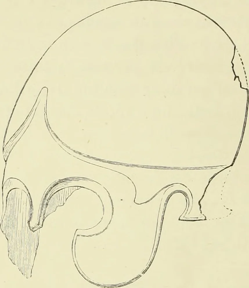 An illustration from Antiquités de la Russie méridionale, 1891, leaf 59