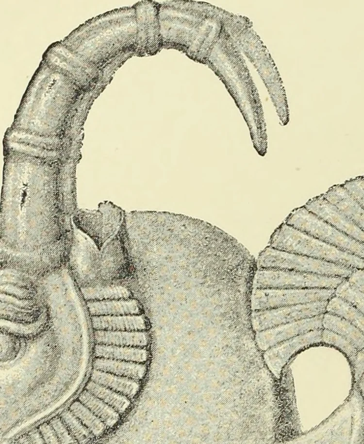 An illustration from Antiquités de la Russie méridionale, 1891, leaf 97