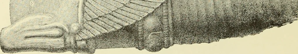 An illustration from Antiquités de la Russie méridionale, 1891, leaf 97