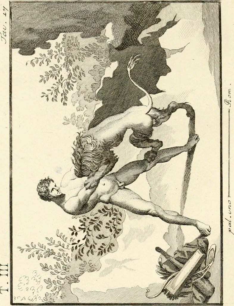 An illustration from Antiquités d'Herculanum, 1804, leaf 73