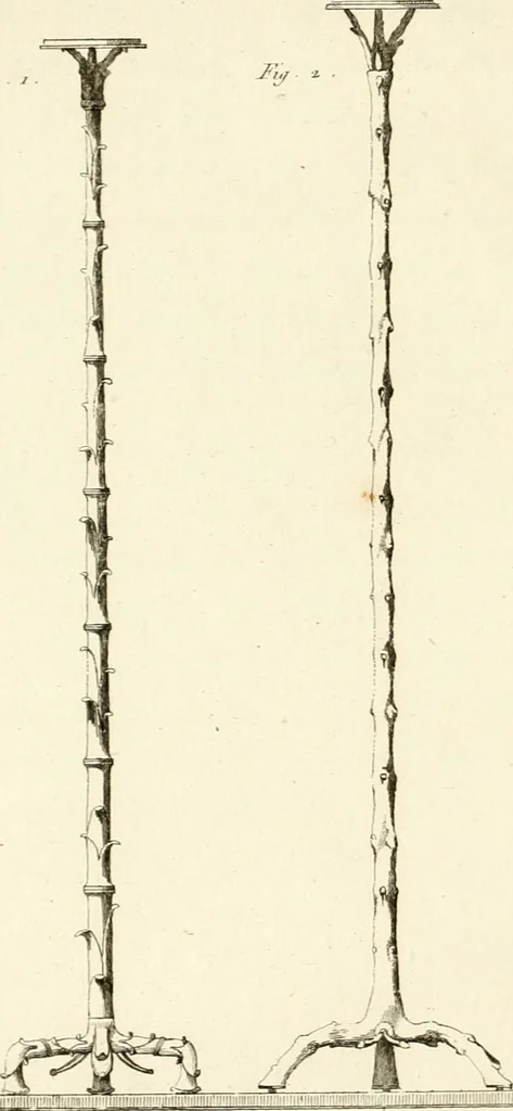 An illustration from Antiquités d'Herculanum, 1804, leaf 167