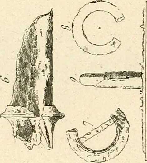 An illustration from Antiquités d'Herculanum, 1804, leaf 193