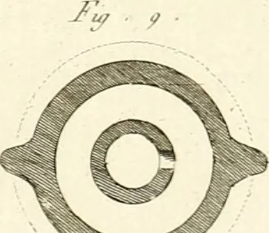 An illustration from Antiquités d'Herculanum, 1804, leaf 89