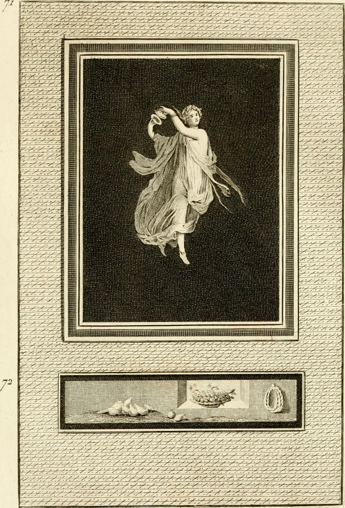 An illustration from Les antiquités d'Herculanum : avec leurs explications en françois, 1780, leaf 134