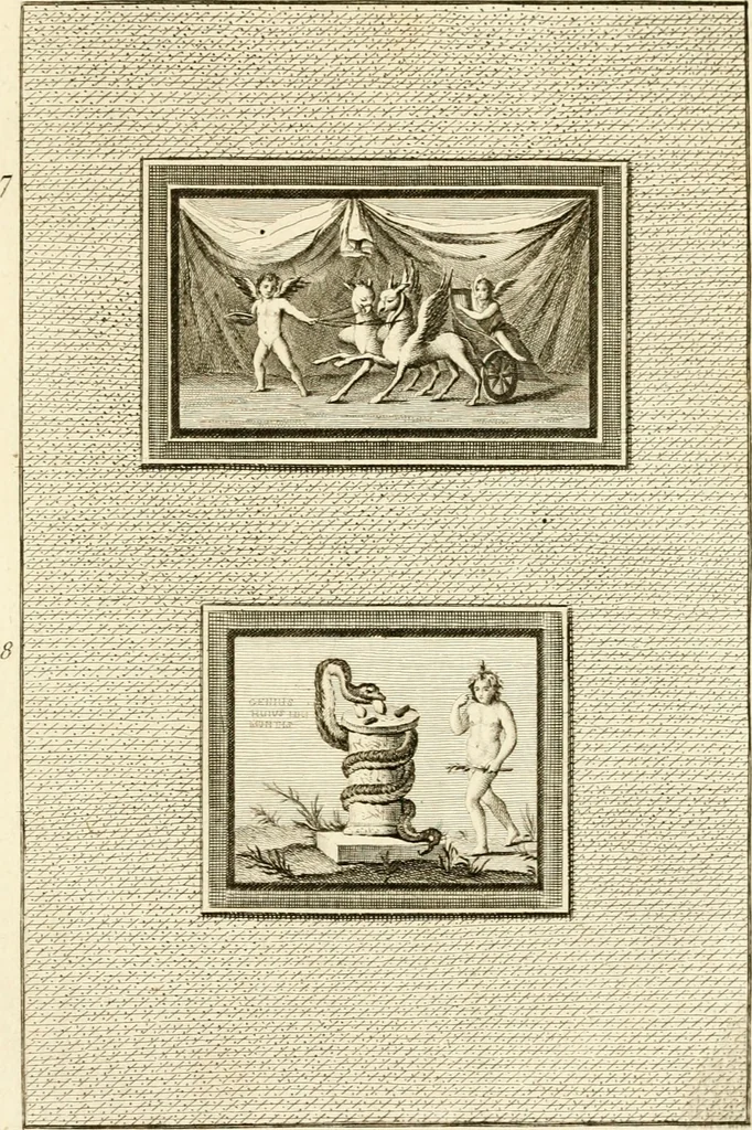 An illustration from Les antiquités d'Herculanum : avec leurs explications en françois, 1780, leaf 242
