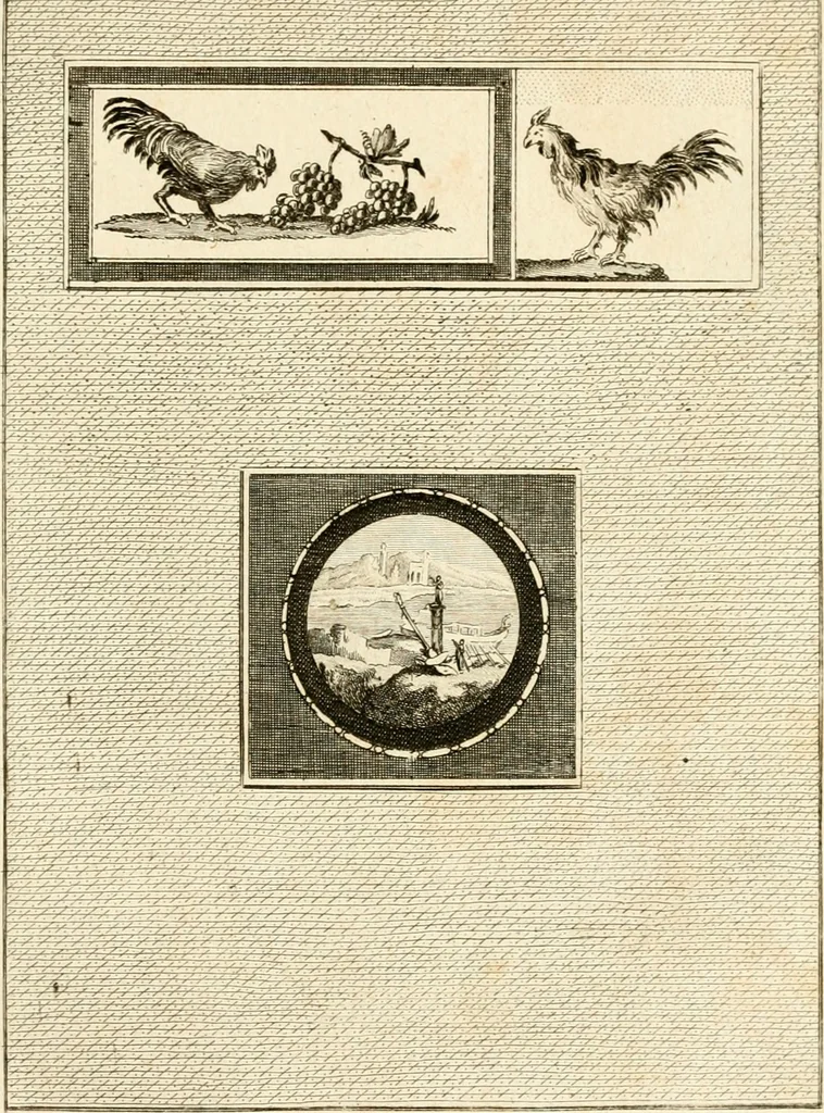 An illustration from Les antiquités d'Herculanum : avec leurs explications en françois, 1780, leaf 246