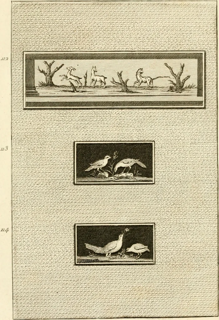 An illustration from Les antiquités d'Herculanum : avec leurs explications en françois, 1780, leaf 248