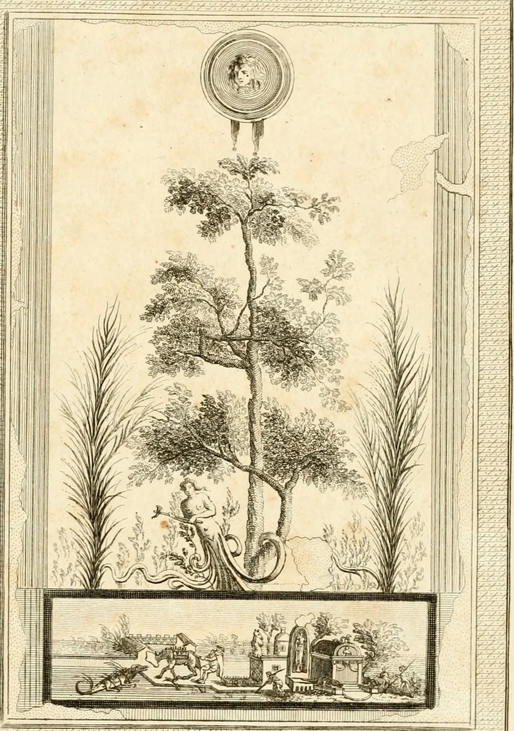 An illustration from Les antiquités d'Herculanum : avec leurs explications en françois, 1780, leaf 288