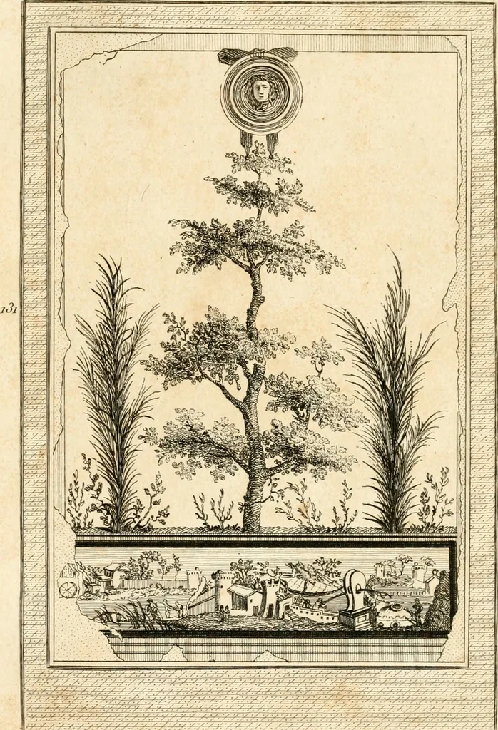 An illustration from Les antiquités d'Herculanum : avec leurs explications en françois, 1780, leaf 292