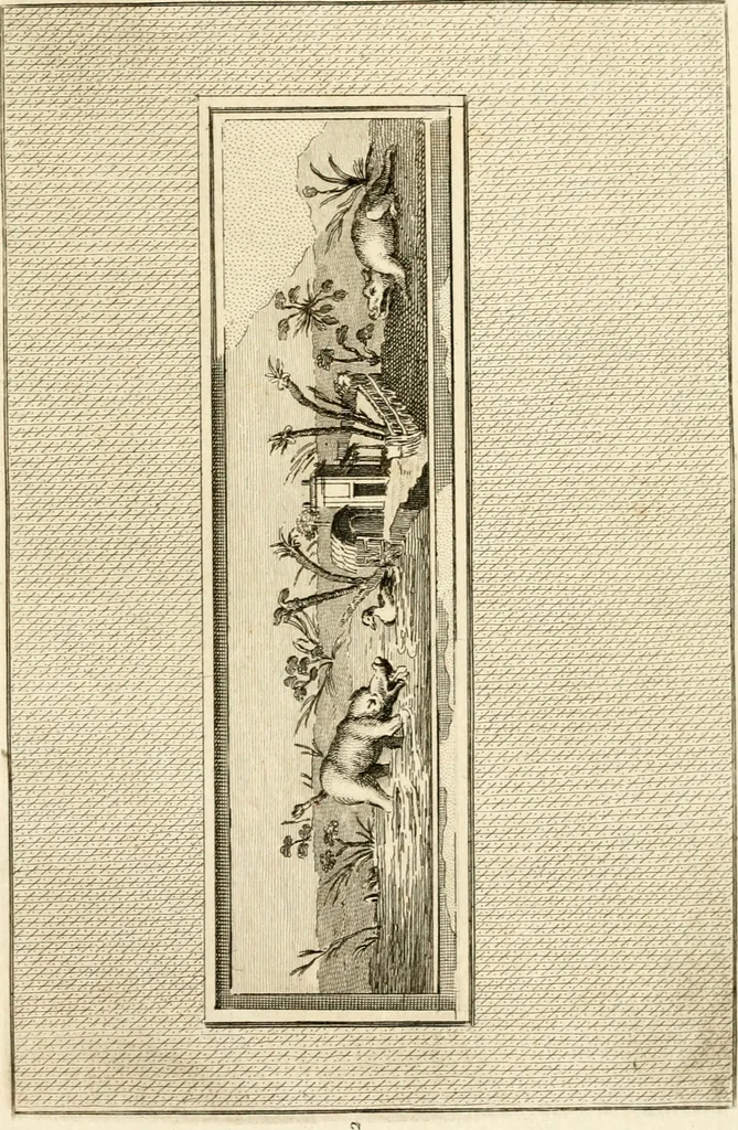 An illustration from Les antiquités d'Herculanum : avec leurs explications en françois, 1780, leaf 296